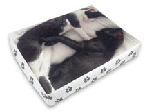 custom cat bed