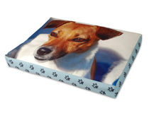 Dog Pet Bed