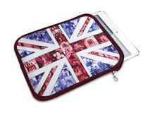 iPad Mini Case