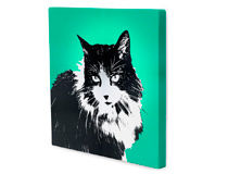 pet canvas