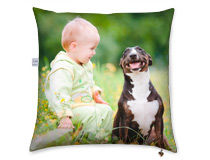 pet lovers cushion