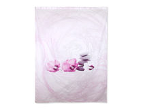 Shower Curtain