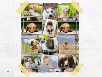 collage poster