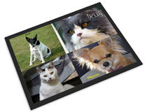 pet mat montage