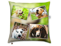 photo montage cushion