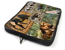 Montage Laptop Case