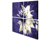 Multi Panel Split