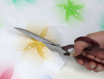 Fabric Printing