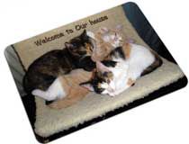 Pet Mat