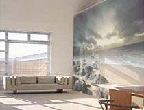Photo Wallpaper
