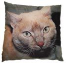 pet lovers cushion
