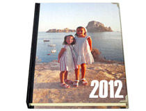 2013 deluxe diary
