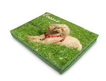 dog pet bed reviews