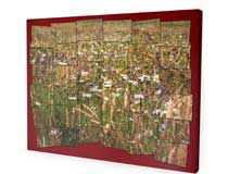 hockney montage canvas