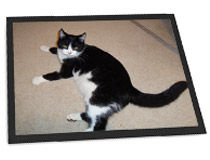 personalised pet mats