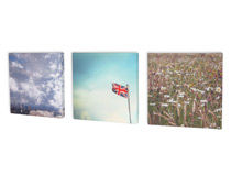 mini canvas prints