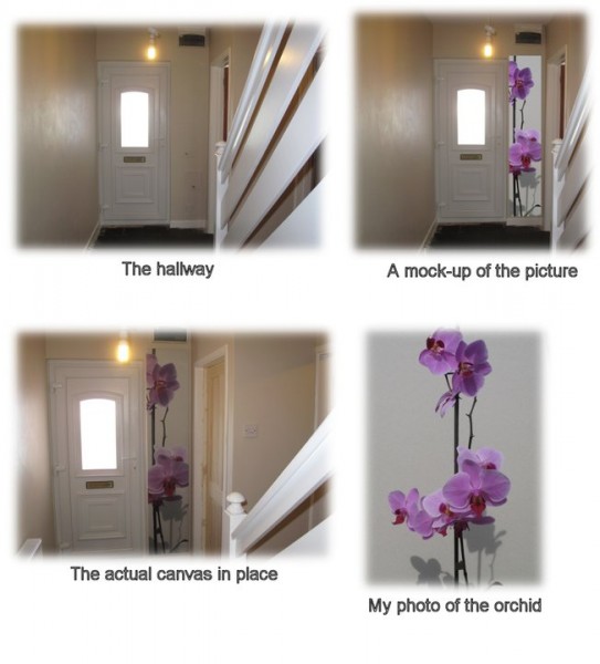 Four images of an orchid canvas print in a hallway