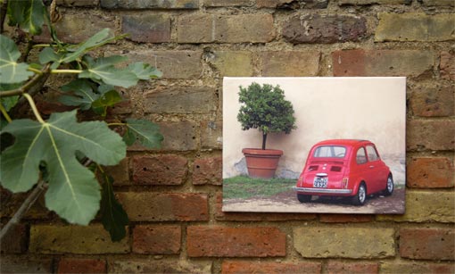 Car and plant on a canvas print hanging on a brick wall