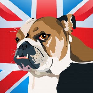 Union jack flag and english bulldog in cartoon style