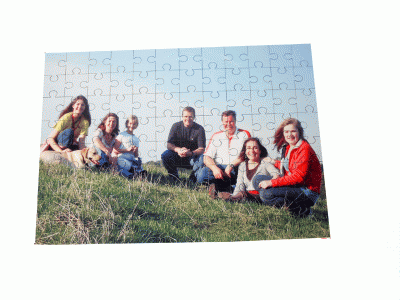 Family sitting on grass on a jigsaw puzzle