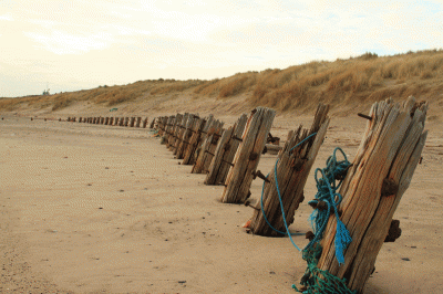 Photo of spurn point an old wooden fence on a sandy beach