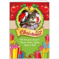 Cat on Christmas card