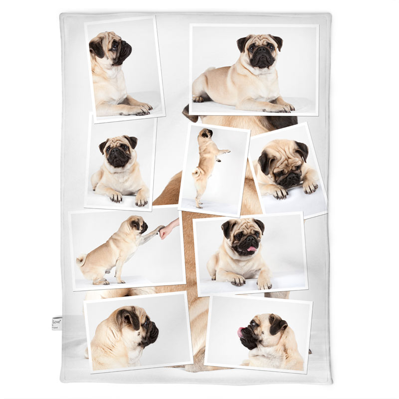 Photo blanket with a montage of photos of the same dog