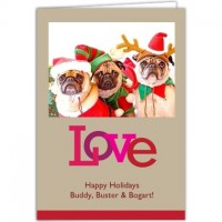 Three dogs on christmas card