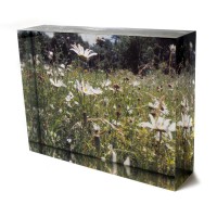 Unusual Xmas Presents acrylic photo block Unusual Xmas Presents acrylic photo block with dasies