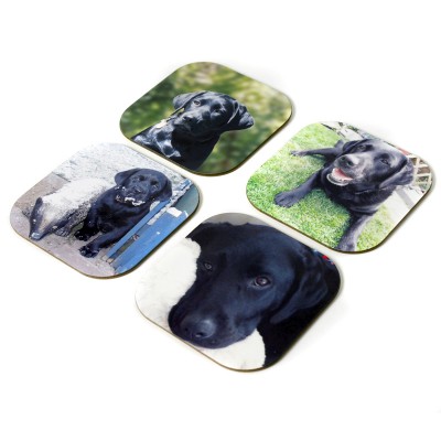 Guaranteed Christmas Delivery photo coasters of black lab