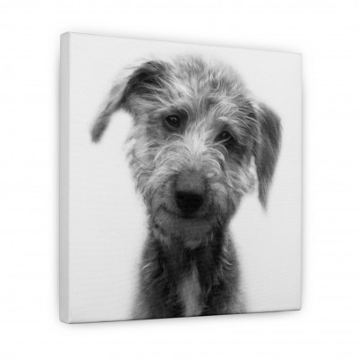 Inimitable personalised gifts canvas print of dog B&W