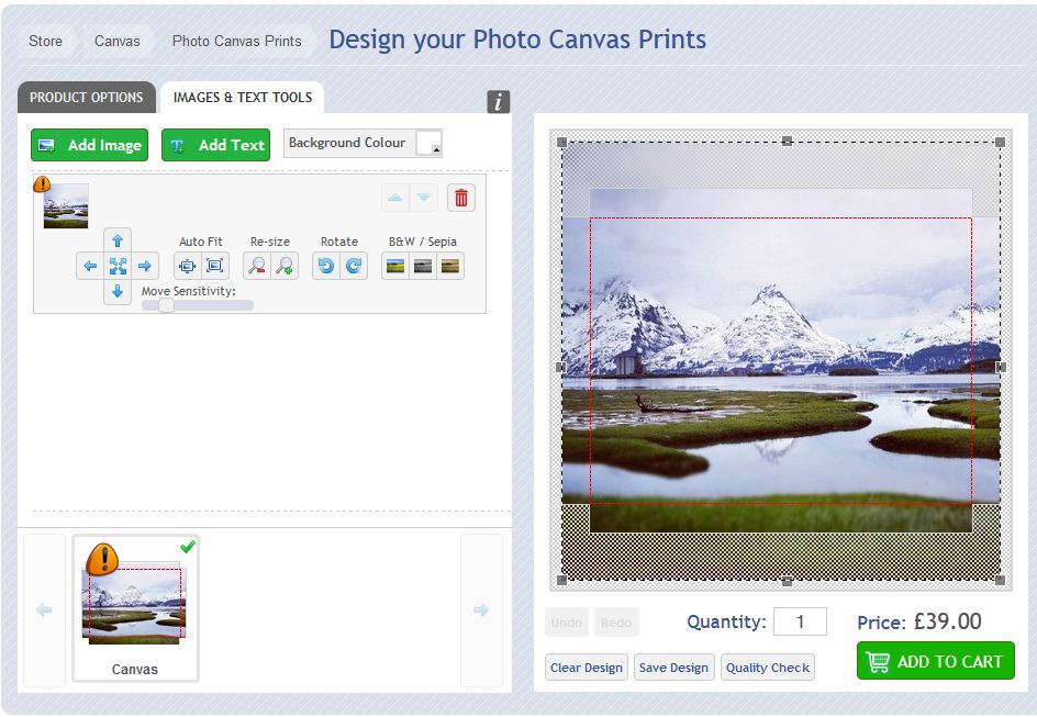 Screenshot of photo canvas design tools
