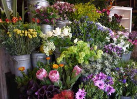 blooming-marvellous-competition-florist