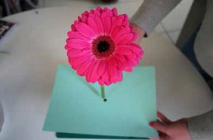 blooming-marvellous-competition-flower-on-paper