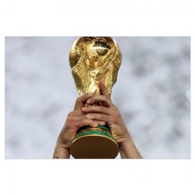 world-cup-trophy-flag