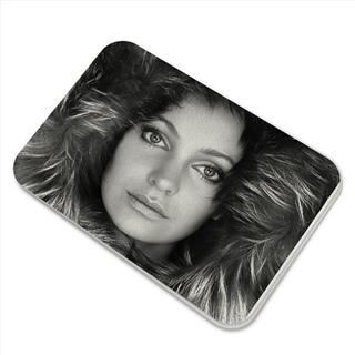leather Oyster card holder