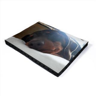 a-pet-bed-dog