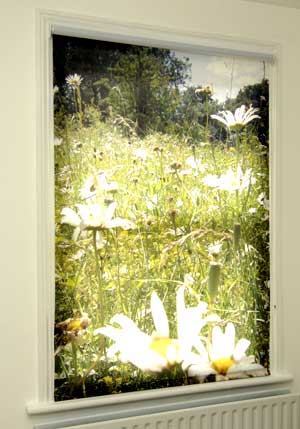 photos on blinds