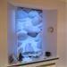 photo roller blind