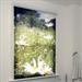 photo blinds