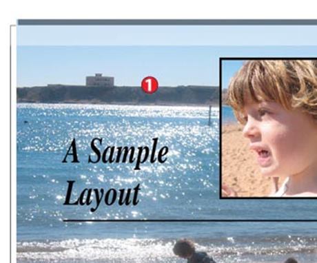 sample layout image