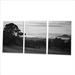 black and white photo