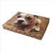 dog sleeping pet beds
