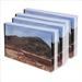 pack of four business card books