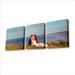 b-triptych-photo-canvas-wedding-ll