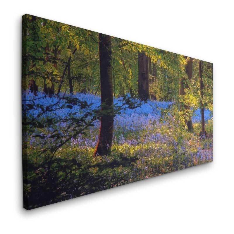 Walmart coupon canvas prints