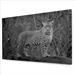 black and white printed canvas