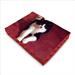 cat bed 