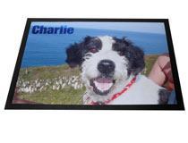 Pet Mat