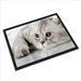 cat mat